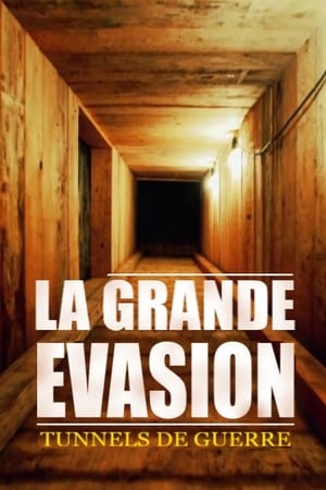 GREAT ESCAPE (2018) Dubbed | Hindi Full Movie HDRip [650MB]