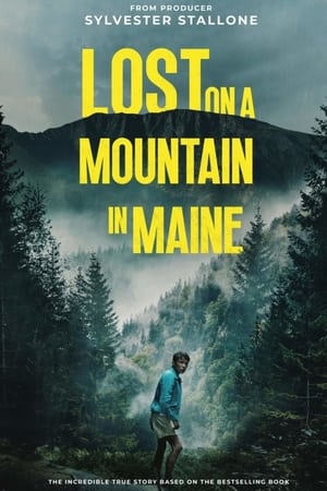 Lost on a Mountain in Maine 2024 Subbed CAMRip | Hindi Full Movie