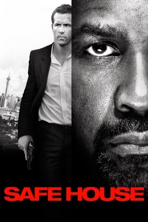 Safe House (2012) Dual Audio | Hindi Full Movie BluRay [1GB]