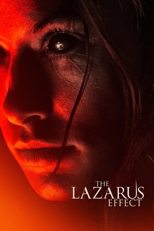 The Lazarus Effect (2015) Dual Audio | Hindi Full Movie BluRay [800MB]