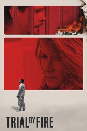 Trial by Fire 2018 Dual Audio | Hindi Full Movie Web-DL [1GB]